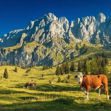 Hochkoenig Ferien Muhlbach Am Hochkonig